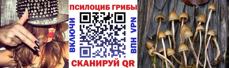 Галлюциногенные грибы мухоморы  магазин    Вятские Поляны 